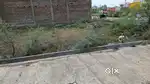 Bohut Hi Accha plot