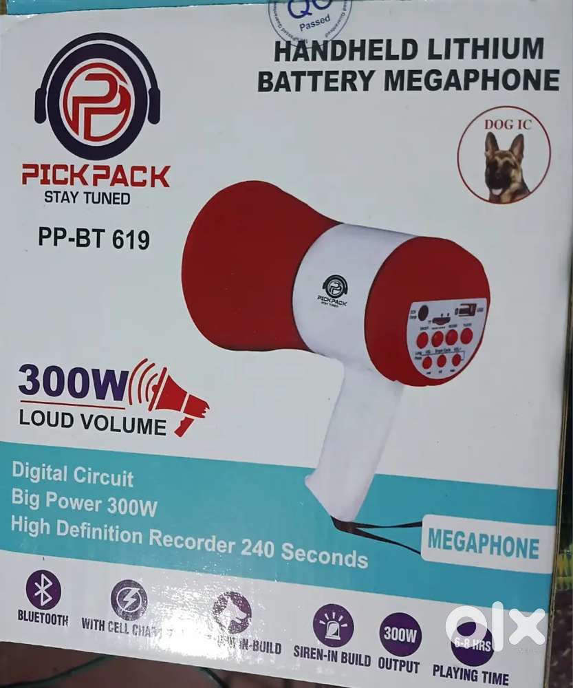 Megaphone c type charging system