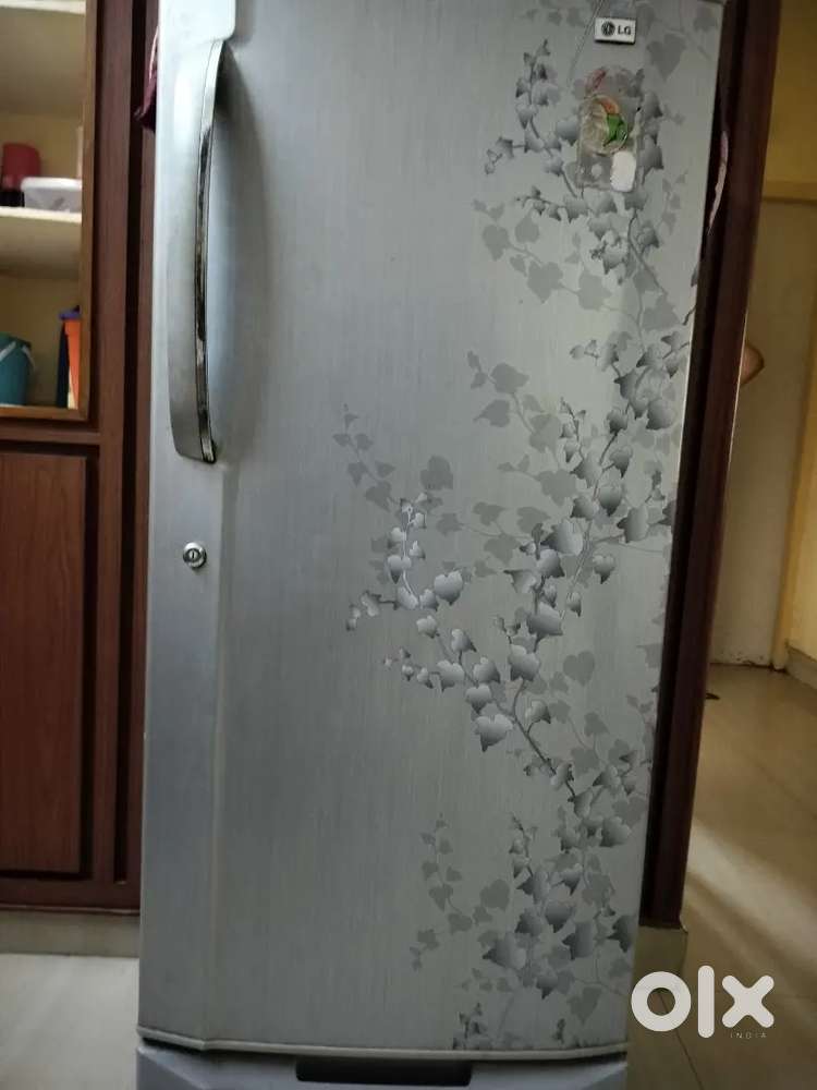 Lg fridge  grey colour