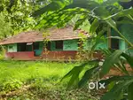 2 acer paddy field and 1 acer commercial land for sale@wayanad