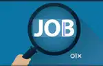 Work from home after 7 pm Female assistant for data entry