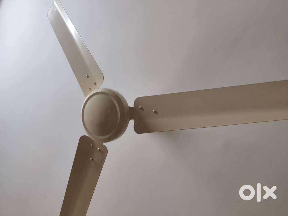 Crompton BLDC ceiling fan