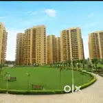 3+1 bhk flat for rent in suncity parikarma sector 20 panchkula