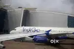 Join In Indigo Airlines for Ground Staff Jobs Fresher male, female