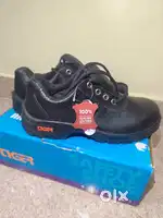 Tiger Safty Shoes