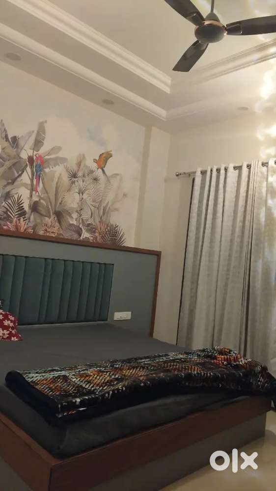 Need a girl roommate