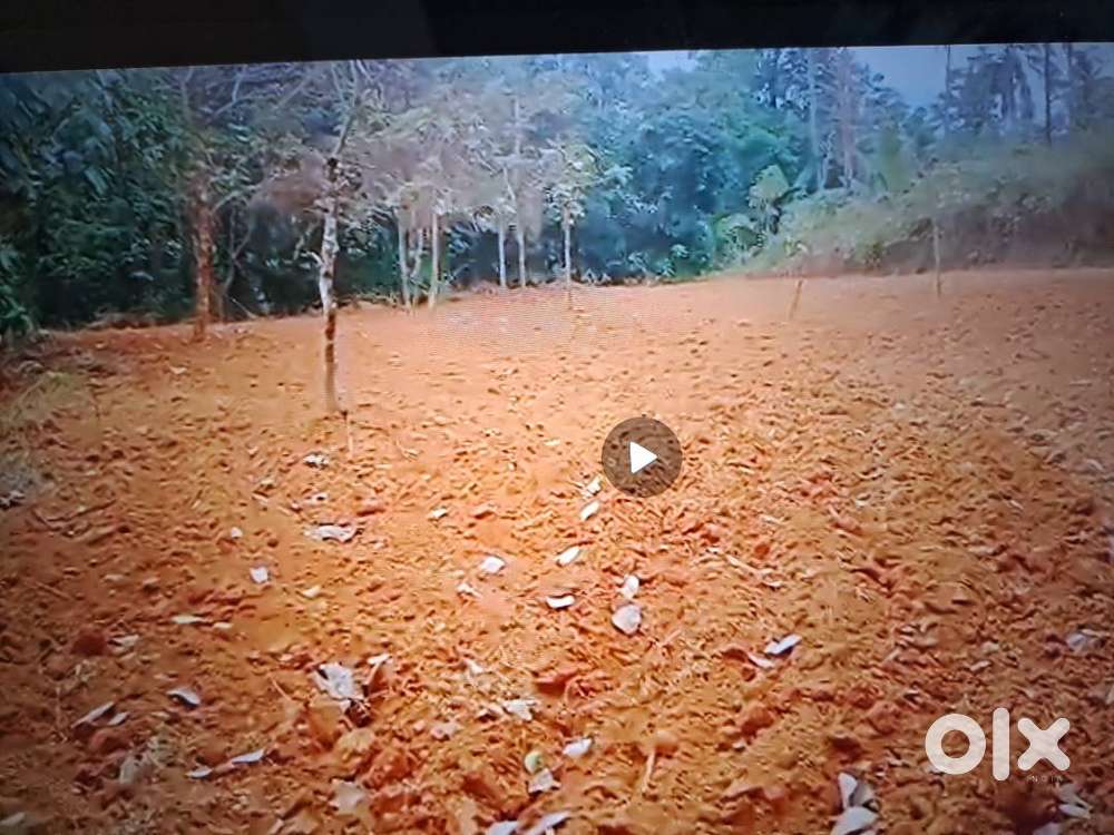 Vannappuram 50 cent house plot