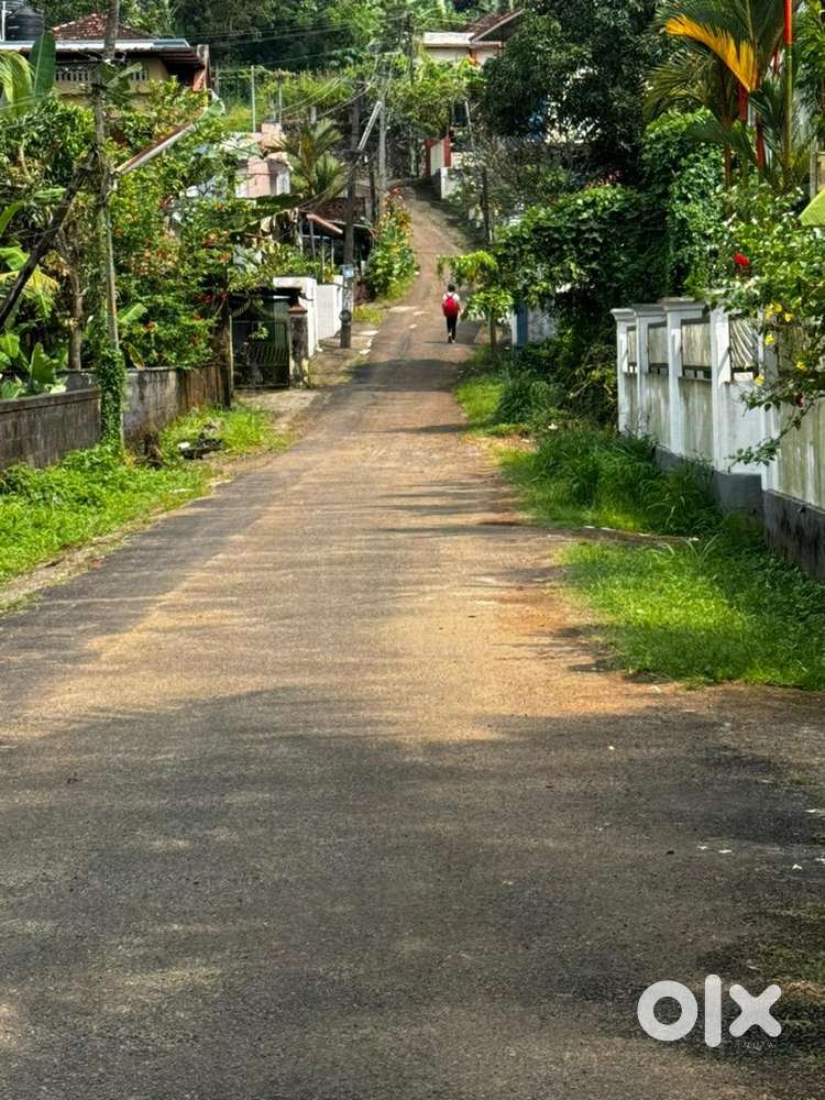 Kottayam Puthupally juction near side 10 cent Good residential plot