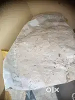 Taupaulin ( Tadpal )