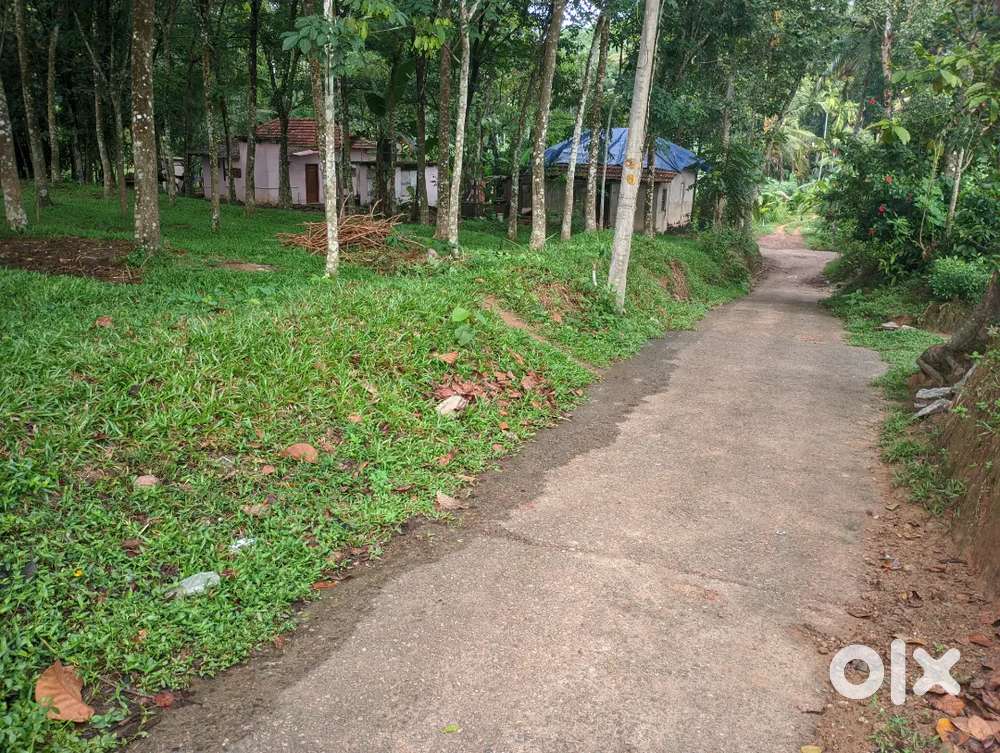 32 cent Square plot with rubber trees for sale