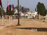 Residential Farm Land Plot  at Nedunur Near Kandukur