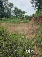 13 cent plot for sale in Meenangadi