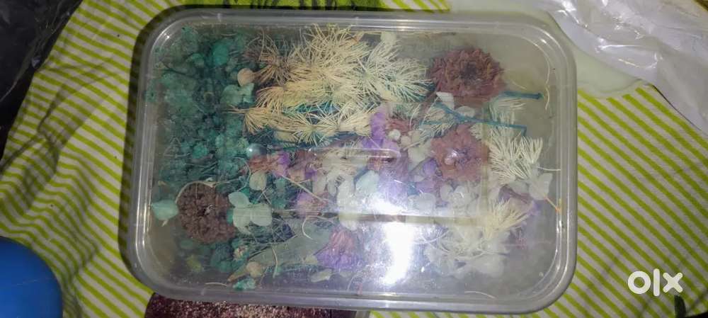 Resin art and raw materials