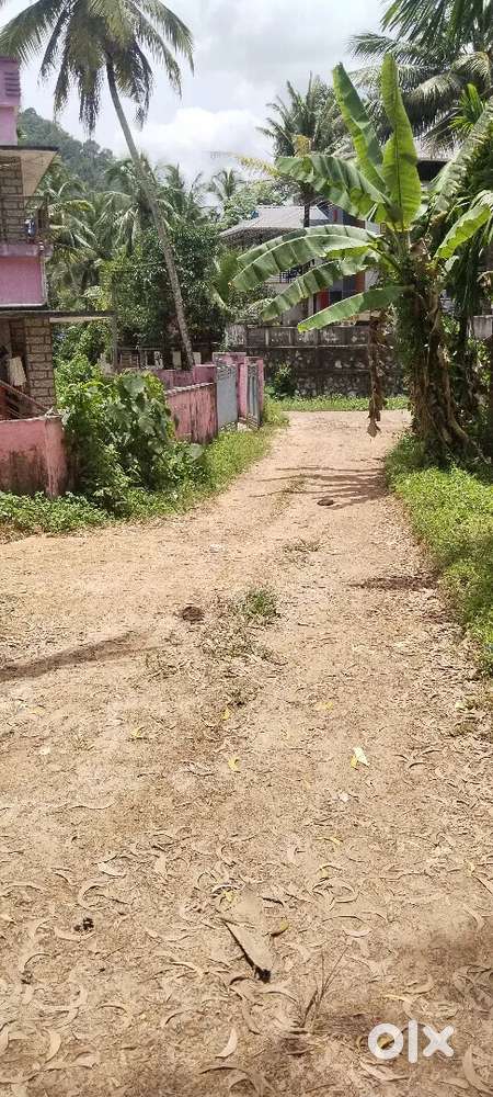 80 cent plot for sale
