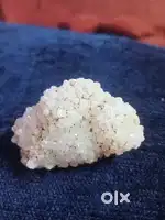 I want sell stone we found from jungle
