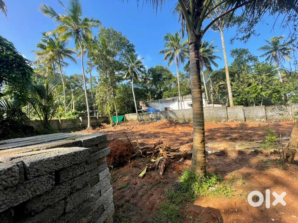 18 cent road frontage plot for sale kattakada