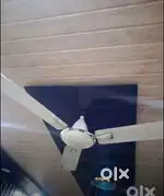 2 Orient PSPO fans 1400 mm