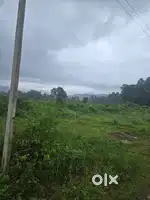 Scenic Plot for Sale – Dhaulas, Dehradun