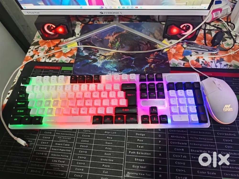 COMPUTER SETUP ZEBRONICS -S8GRCOM 3 mother use only