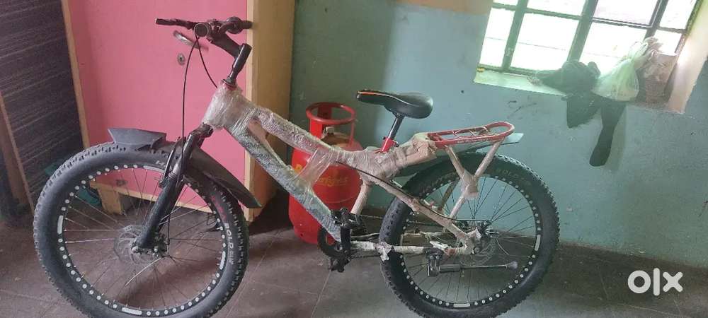 Vixen cycle 3 month old