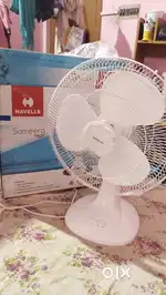 Havells fan
