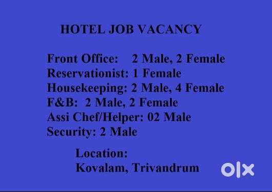 Job Vacancy