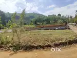 Square corner plot sale near Thodupuzha
