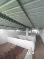 FARM HOUSE, Comercial space,Mini Company space