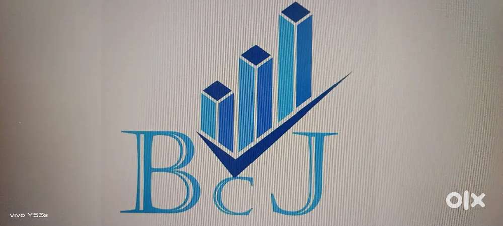 Audit assistant and accounts trainee