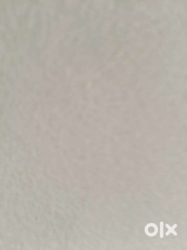 Need a Haryana pharmacist with license