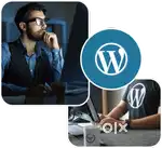 Need Wordpress Developer