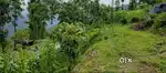Urgent land sale at Chakung Road side