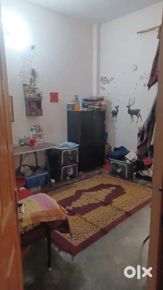 It is a single story house and I need a girl flat partner.