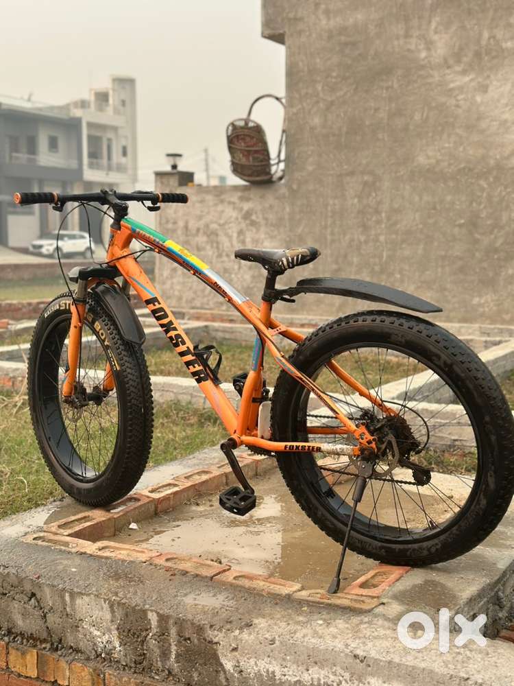 Fat tyre bicycle with both gears