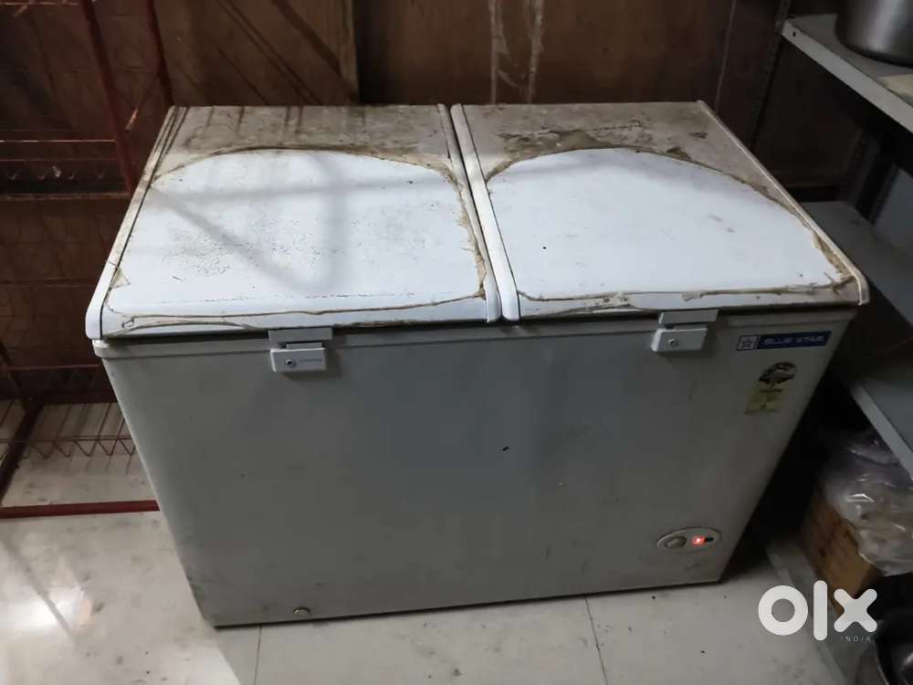 Blue star double door comercial fridge