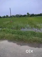 बंनगवा, डंबरजोत मार्ग  लगभग 6 बिस्सा जमीन है
