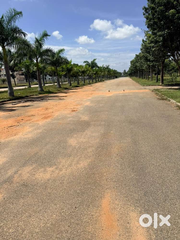 PLOT FOR SALE IN CHANDAPURA TO ANEKAL MAIN ROAD