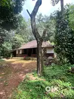 Wayanad banasura sagar dam near 3.2 acre beautyfull land selling