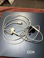 Apple lightning cable earphones