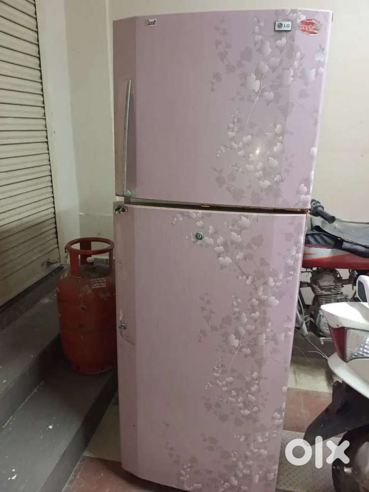 Lg fridge double door