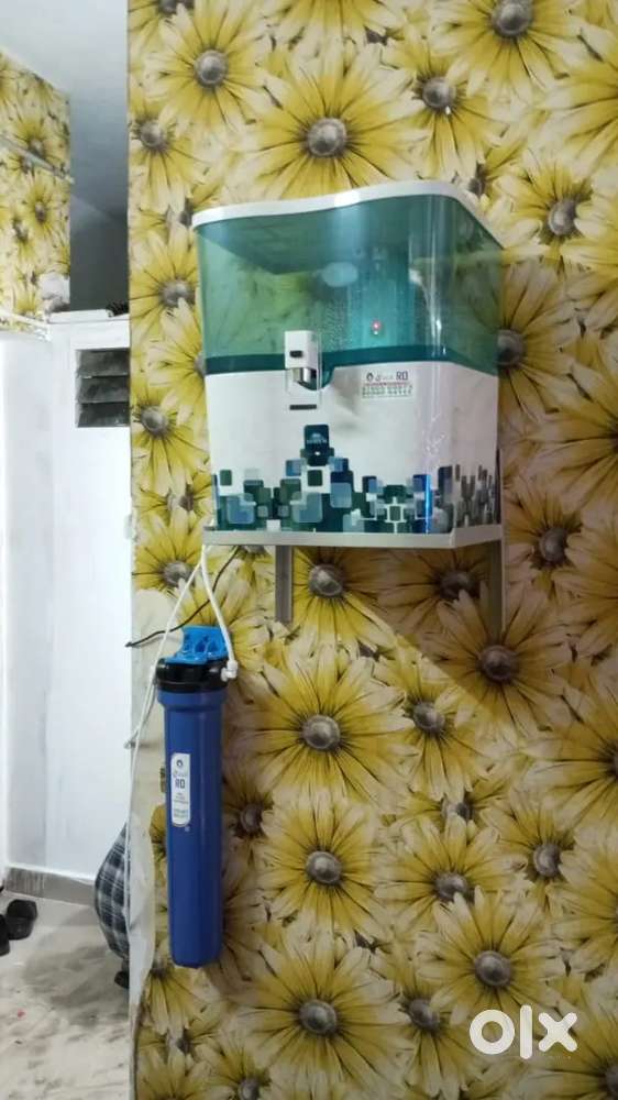 Branch development Manager