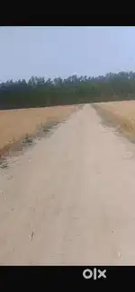 50 acre plot
