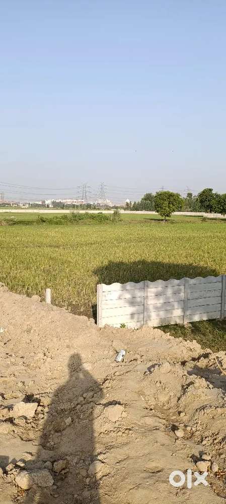 Plots on Noida Expressway, Near Metro Govt. Approved plots.