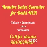 SALES EXECUTIVE - ( FIELD)