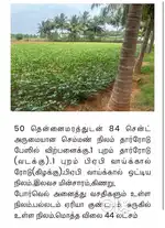 Land with coconut farm sale
