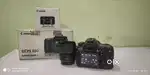 CANON 80D WITH LENCE 18-135, 50MMF/1.8