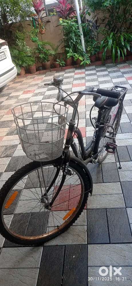 BSA Lady Bird.2024.black bycycle.