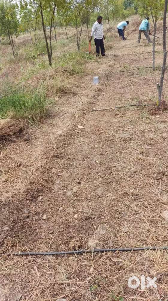 Investment ourpose plot for sale