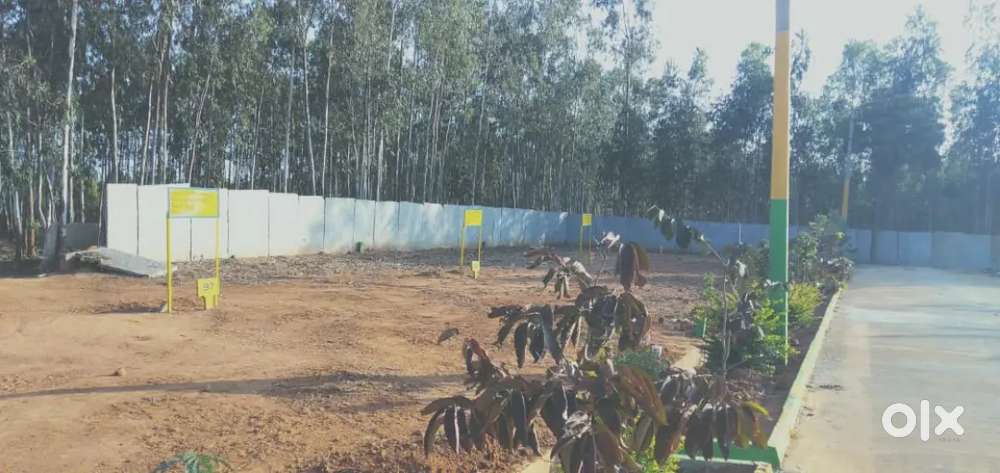 Residential Plot for Sale in Malur