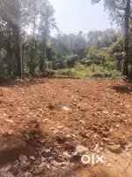 വീട് വെക്കാൻ അനുയോജ്യമായ 10 സെൻ്റ് സ്ഥലം വിൽപ്പനയ്ക്ക്,പൊൻക്കുന്നം